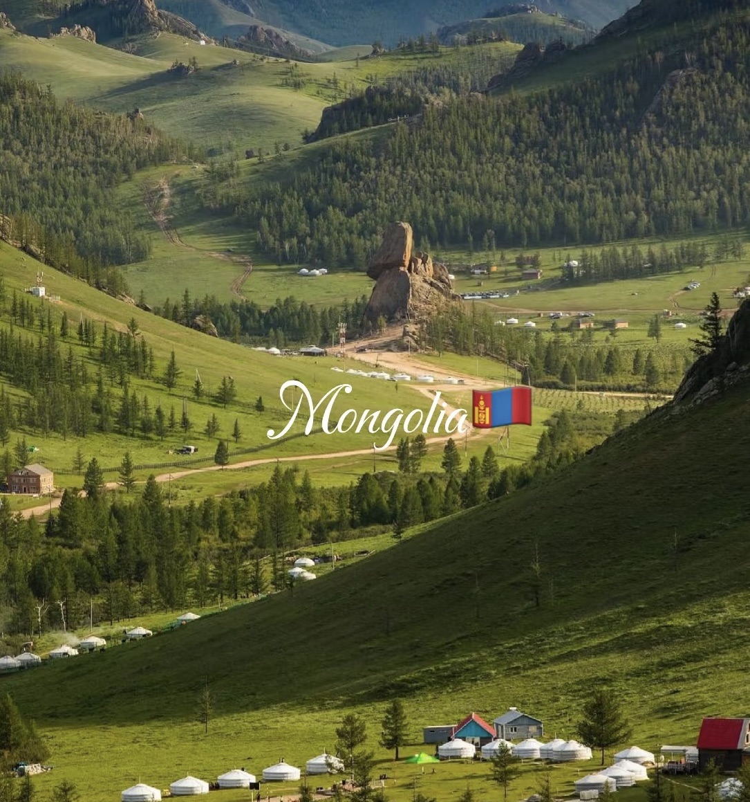 Big Trade Data Focus丨Market Development Guide for Mongolia, the World's Second-Largest Landlocked Country