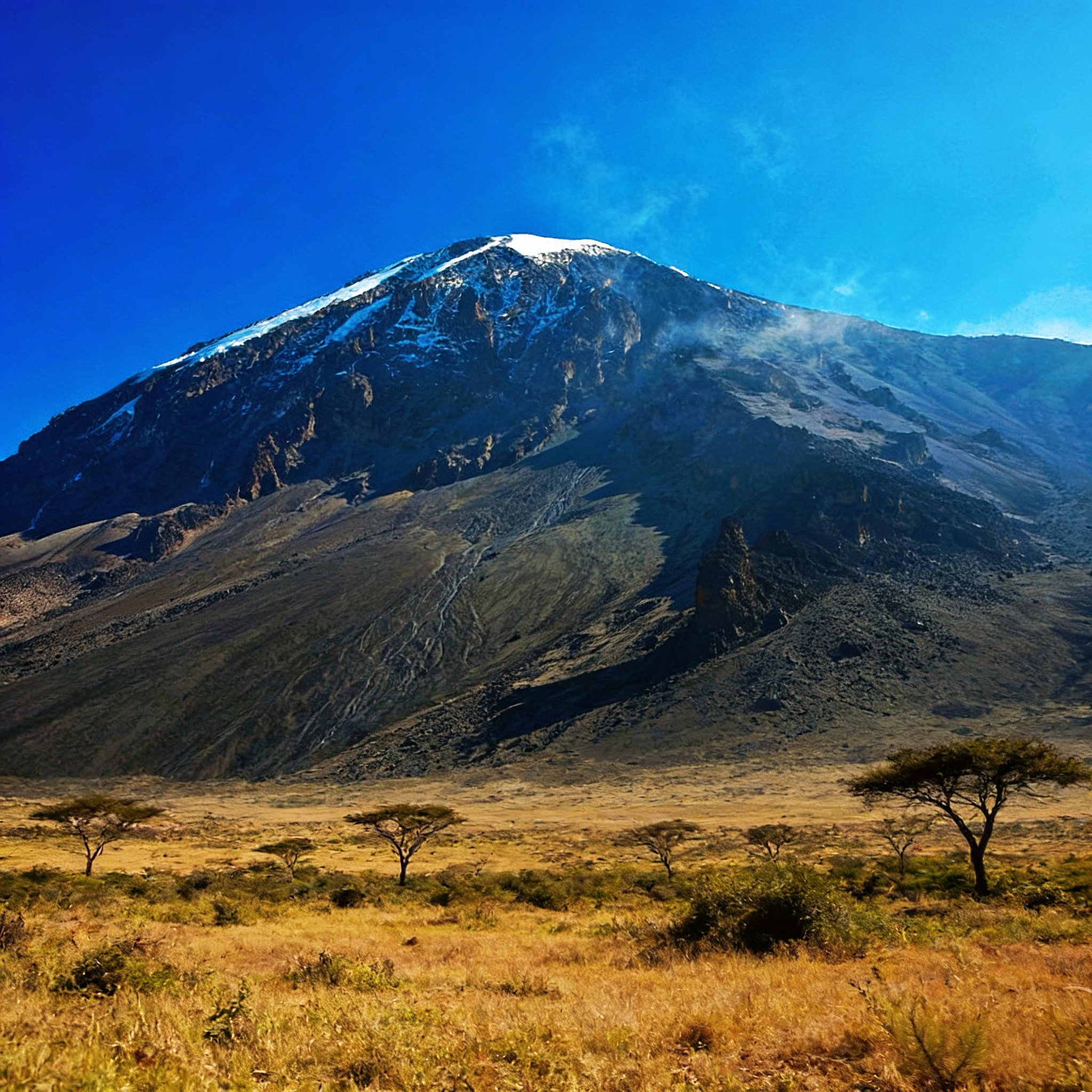 Big Trade Data Focus | East Africa's Golden Gateway: A Comprehensive Guide to Developing the Tanzanian Market